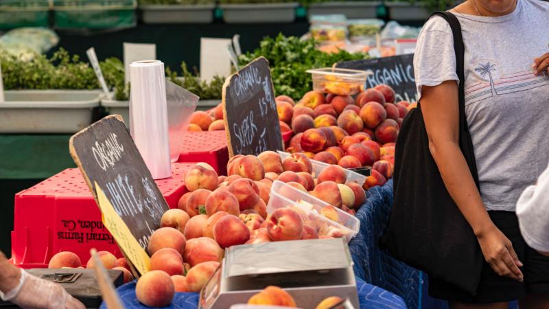 Baltimore Farmers’ Market & Bazaar to Open April 4 for 44th Season