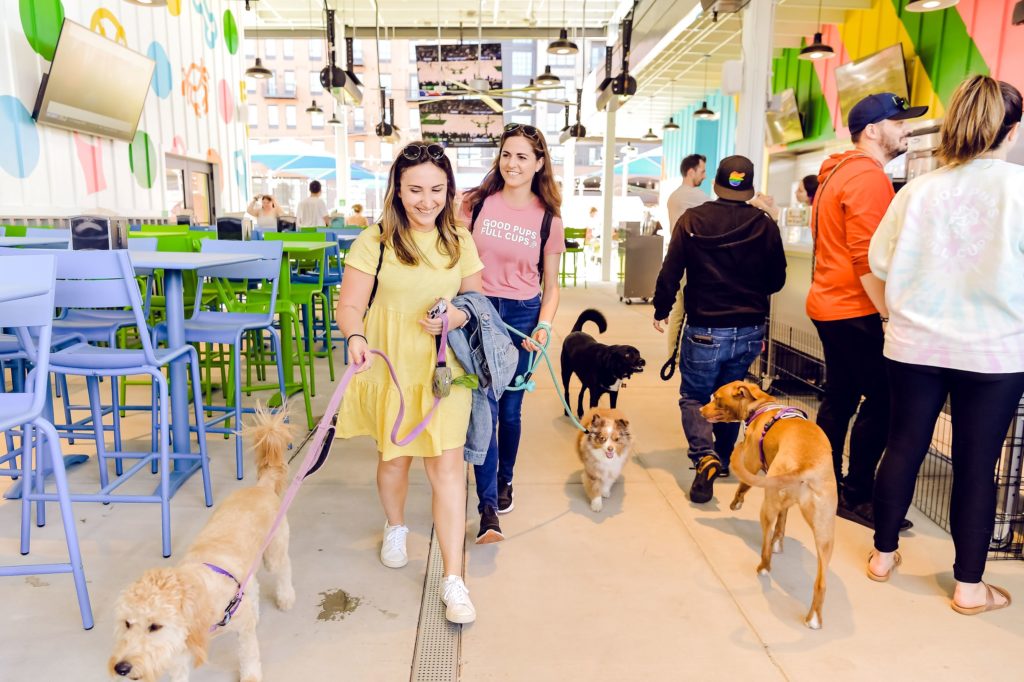 Guests walk with dogs through Bark Social in Canton