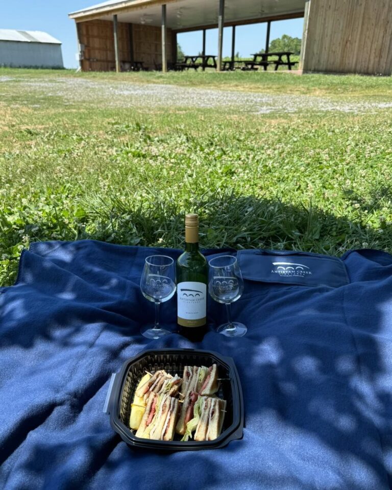 448989625 986161660183785 9054176589812123998 n 768x960