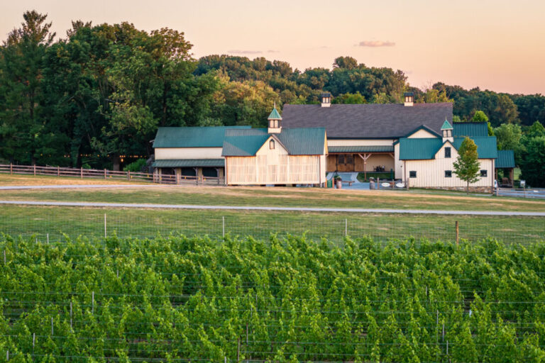 BD Boordy JBannan 416 768x512