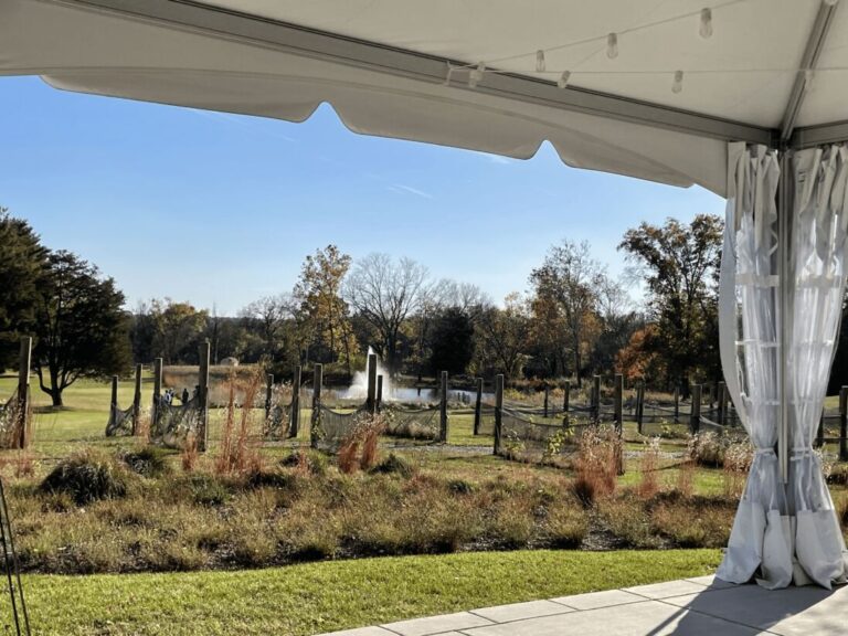 IMG 2984 min 768x576