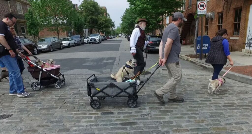 Baltimore Ghost Tours