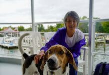 Dog on a cruise