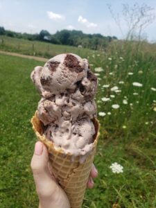 Ice cream at Prigel Family Farm