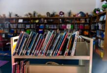 Check out these 4 books Baltimore librarians suggest