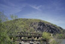 4 Spots for Hiking and Nature Walks in and Around Baltimore