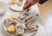 Oysters