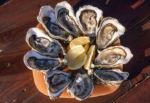 Things to Do This Weekend in Baltimore (Oct. 3-4) Oysters on a plate