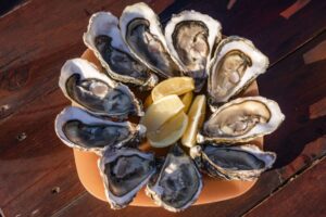 Oysters on a plate
