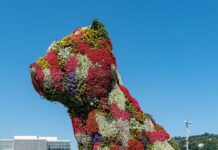 The "Puppy" topiary sculpture by Jeff Koons - on the outdoor terrace at Guggenheim Museum Bilbao, Spain.